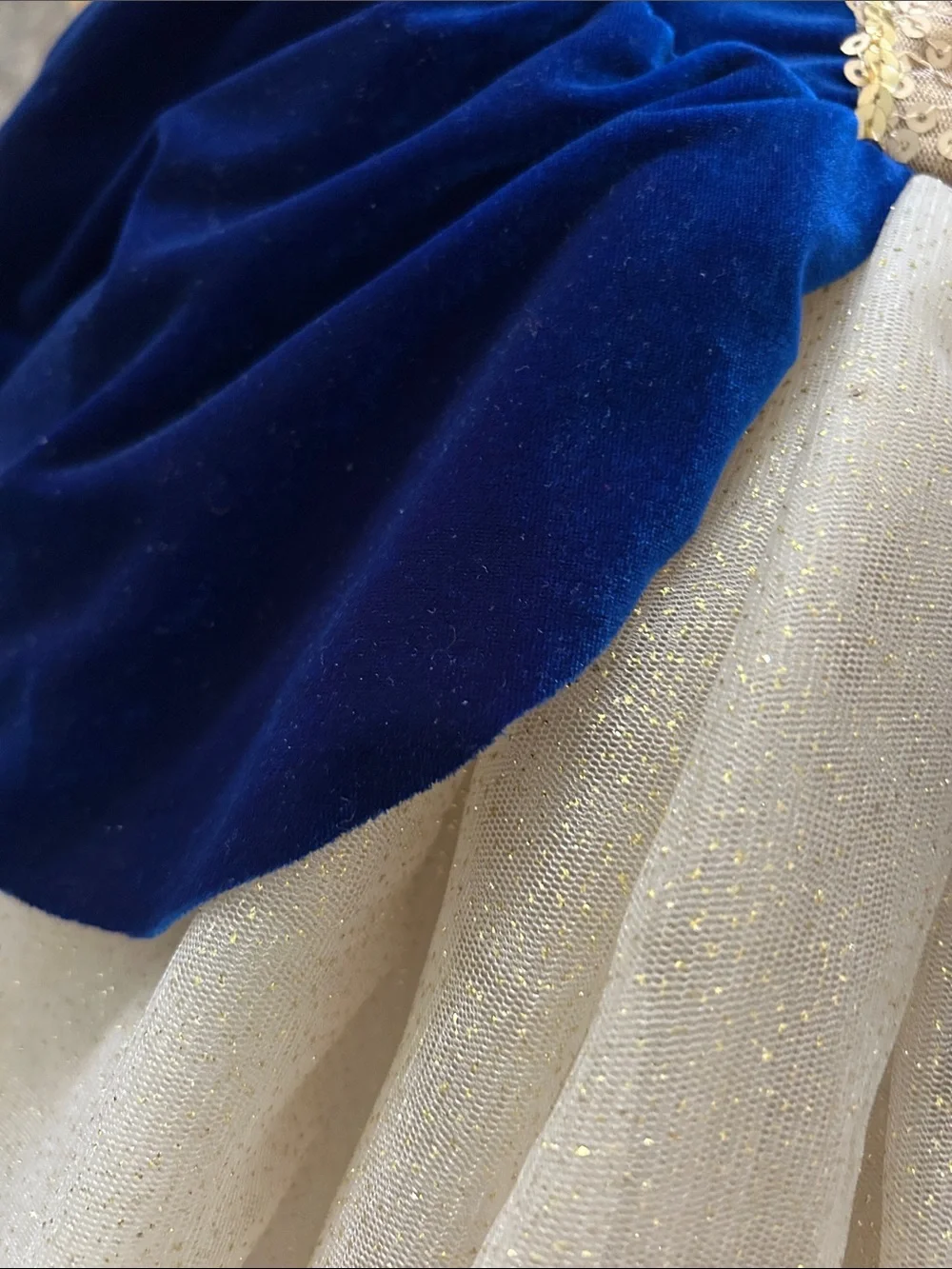 Revolution Blue and Gold Costume